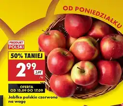 Biedronka Jabłko polskie czerwone Biedronka oferta
