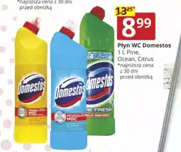 Prymus-AGD Płyn WC Domestos oferta