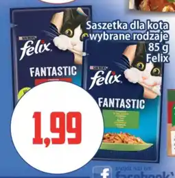 Kupiec Saszetka dla kota Felix oferta