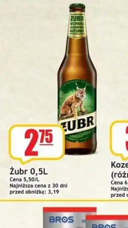 Sezamek Zubr oferta