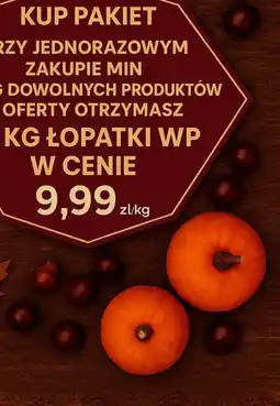 Dantex Lopatka WP oferta
