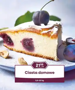 Dantex Ciasta domowe oferta