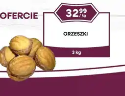 Dantex Orzeszki oferta