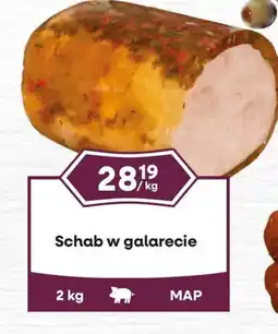 Dantex Schab w galarecie oferta