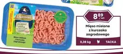 Dantex Mięso mielone z kurczaka zagrodowego oferta