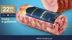 Dantex Ozory w galarecie oferta