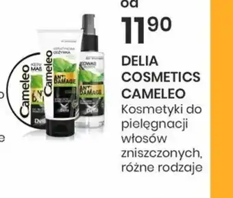 Sekret Urody Delia Cosmetics Cameleo oferta