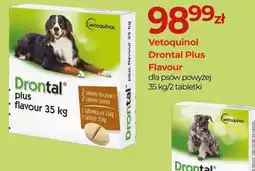 Zoo Karina Drontal Plus Flavour oferta