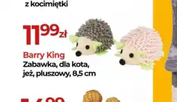 Zoo Karina Barry King Zabawka dla kota oferta