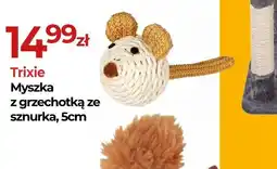 Zoo Karina Trixie Myszka z grzechotką ze sznurka oferta