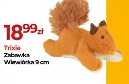 Zoo Karina Trixie Zabawka Wiewiórka oferta