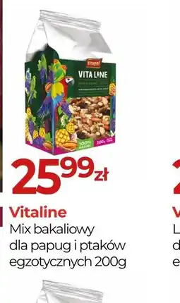 Zoo Karina Vitaline Mix bakaliowy oferta