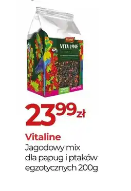Zoo Karina Vitaline Jagodowy mix oferta