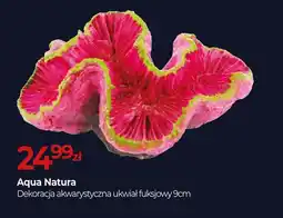 Zoo Karina Aqua Natura oferta