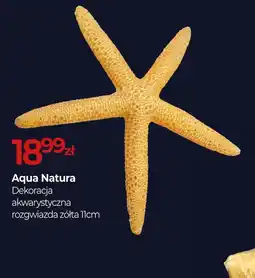Zoo Karina Aqua Natura oferta