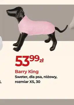 Zoo Karina Barry King Sweter dla psa oferta