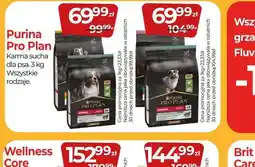 Zoo Karina Purina Pro Plan oferta