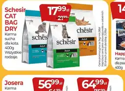 Zoo Karina Schesir Cat Bag Dry oferta