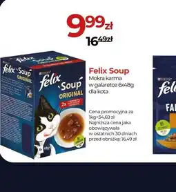 Zoo Karina Felix Soup oferta
