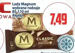 Kupiec Lody Magnum Algida oferta