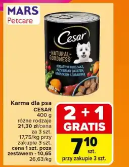 Carrefour Karma dla psa cesar oferta