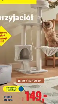 Lidl Drapak dla kota oferta