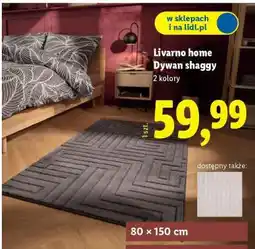 Lidl Livarno home Dywan shaggy oferta