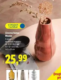 Lidl Livarno home Wazon oferta