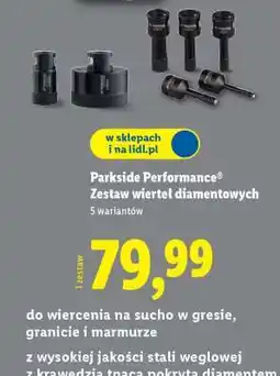 Lidl PARKSIDE PERFORMANCE Zestaw wierteł diamentowych oferta