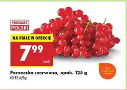 Biedronka Porzeczka czerwona, opak. 125 g oferta