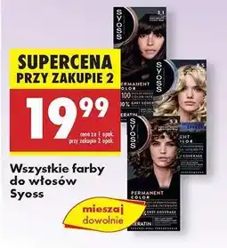 Biedronka Wszystkie farby do włosów Syoss oferta
