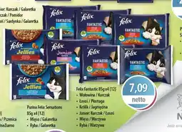 DUO-TES Felix Fantastic oferta