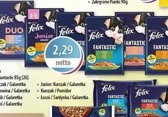 DUO-TES Felix oferta