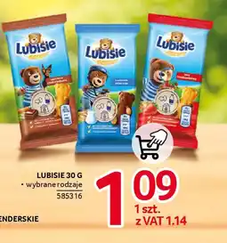 Selgros Lubisie oferta
