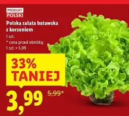 Lidl Sałata batawska polska oferta