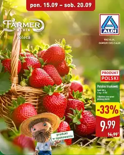 ALDI Truskawki polskie Farmer oferta