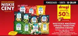 Biedronka Mrożone owocę i warzywa mroźna kraina oferta