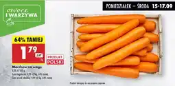 Biedronka Marchew Biedronka oferta