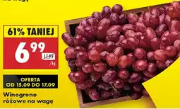 Biedronka Wino różowe oferta