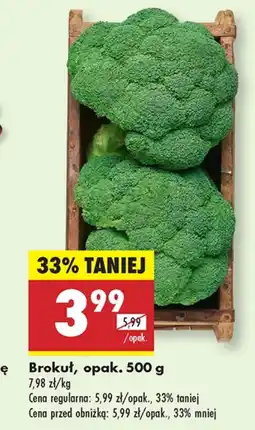Biedronka Brokuł oferta