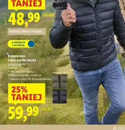 Lidl Kurtka męska Esmara oferta