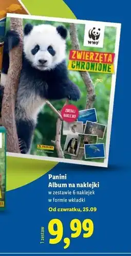 Lidl Album na naklejki oferta