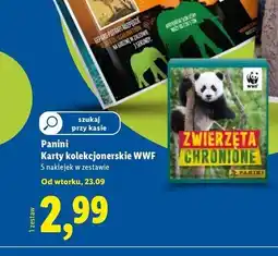Lidl Karty kolekcjonerskie zwierzęta chronione oferta