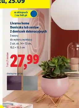 Lidl Doniczki 14 x 12 cm Livarno Home oferta