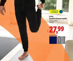 Lidl Spodnie dresowe męskie m-xl Crivit oferta