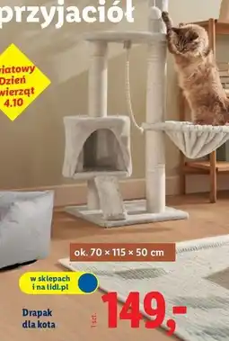 Lidl Drapak dla kota 70 x 115 50 cm oferta