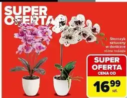 Carrefour Storczyk oferta