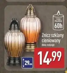 ALDI Znicz szklany cieniowany oferta
