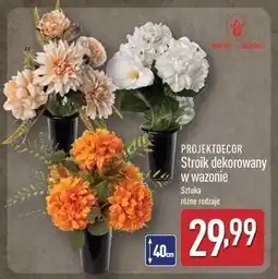 ALDI Stroik dekorowany w wazonie Projektdecor oferta