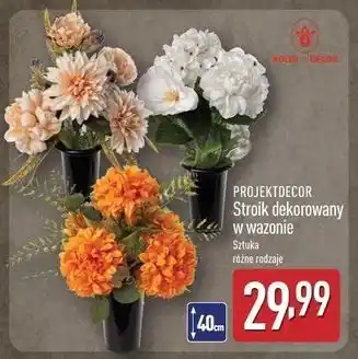 ALDI Stroik dekorowany w wazonie Projektdecor oferta